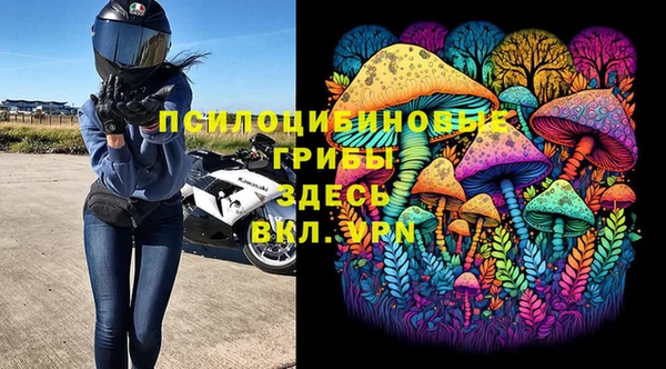 Альфа ПВП Белокуриха