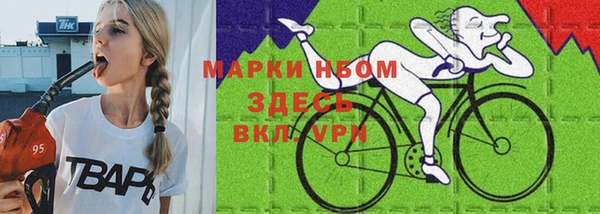 Альфа ПВП Белокуриха