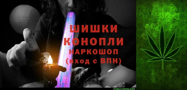 Альфа ПВП Белокуриха