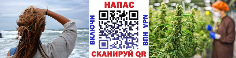 МАРИХУАНА Amnesia Алупка